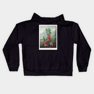 The Narrow–Leaved Kalmia Kids Hoodie